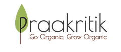 Praakritik