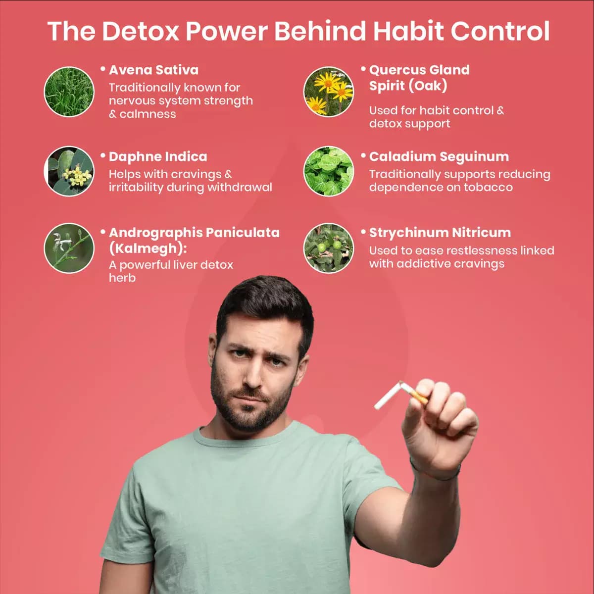 Adven D-Tox Drops-Ingredients