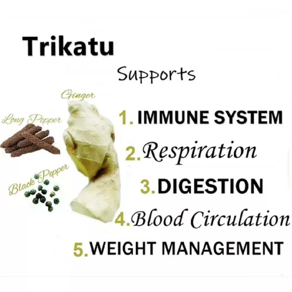 Himalaya Trikatu Tablet benefits