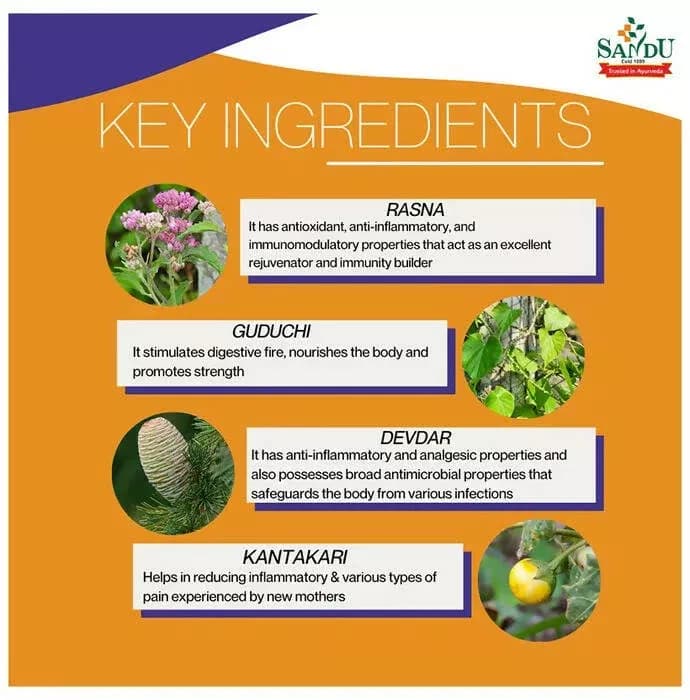 Sandu Balant Kadha No.1 200 ml Key Ingredients