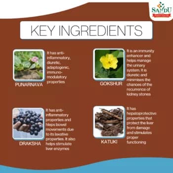 Sandu Punarnavasav Key Ingredients