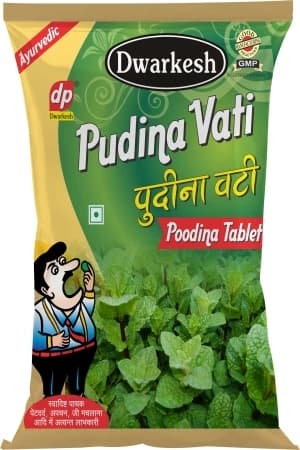 Dwarkesh Pudina Vati — 100 g