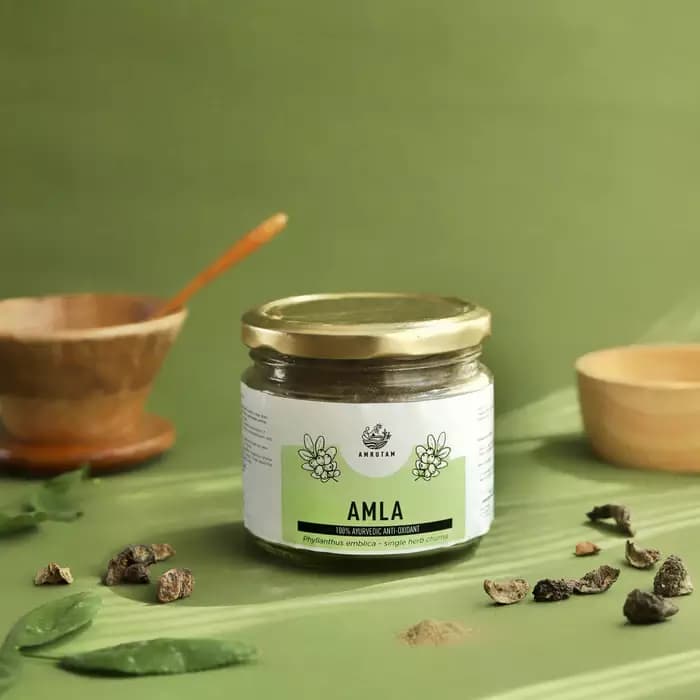 Amrutam Amla Churna,170g-Main image
