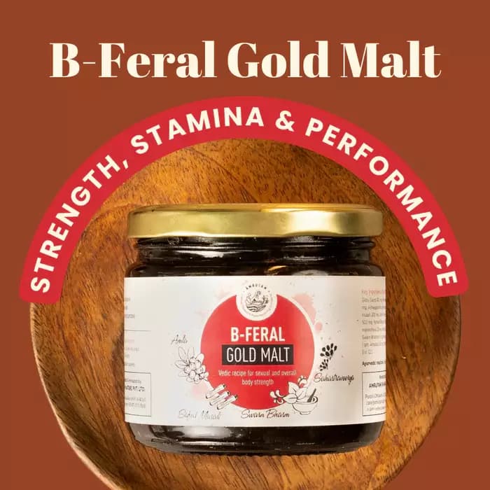 Amrutam B Feral Gold Malt,400g-Main image