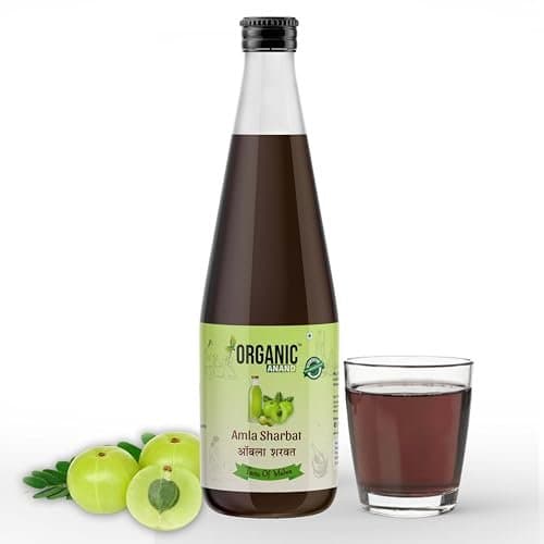 Organic Anand Handmade Gooseberry Lemon Pre-Mix Sharbat — 500 ml
