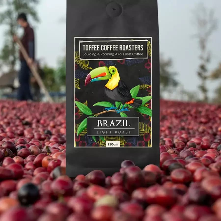 Toffee Coffee Roasters Brazil Cerrado Coffee - Light Roast-Main Image
