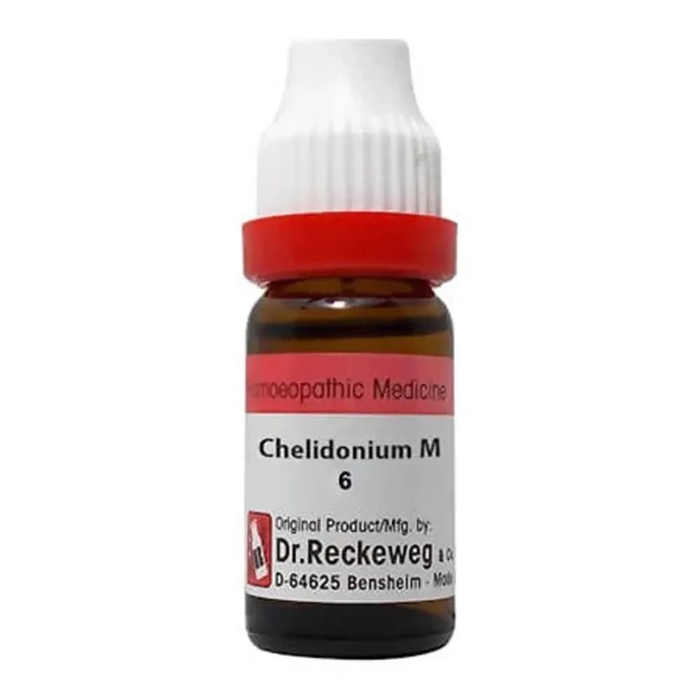 Dr. Reckeweg Chelidonium Maj Dilution 11 ml 6 CH Main Image