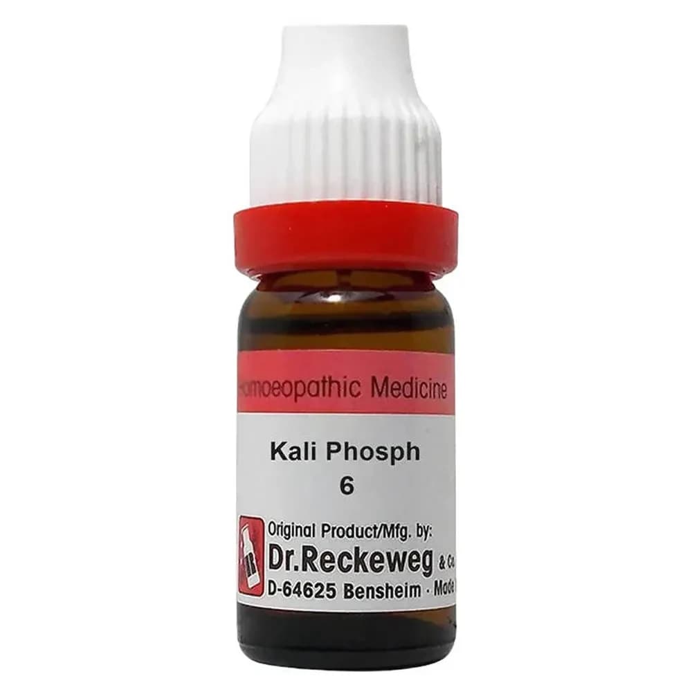 Dr. Reckeweg Kali Phosph Dilution 11 ml 6 CH Main Image