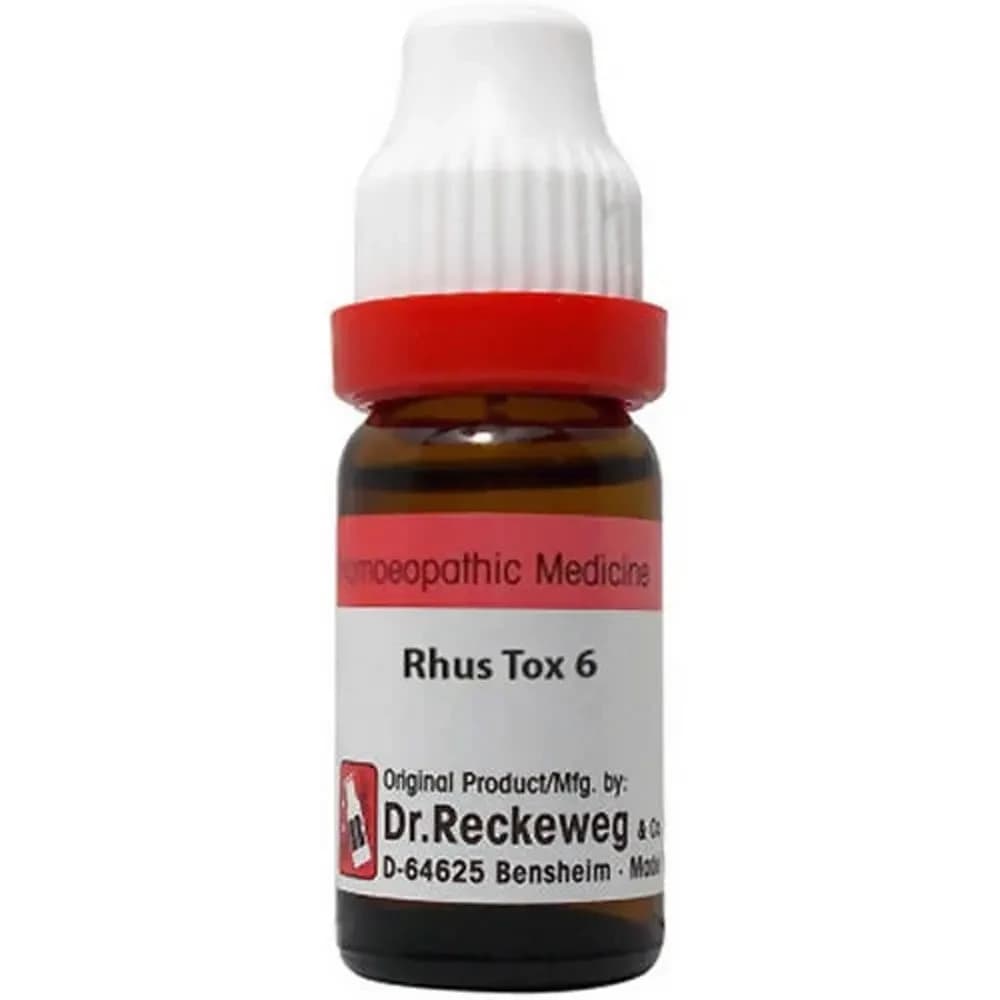 Dr. Reckeweg Rhus Tox Dilution 11 ml 6 CH Main Image