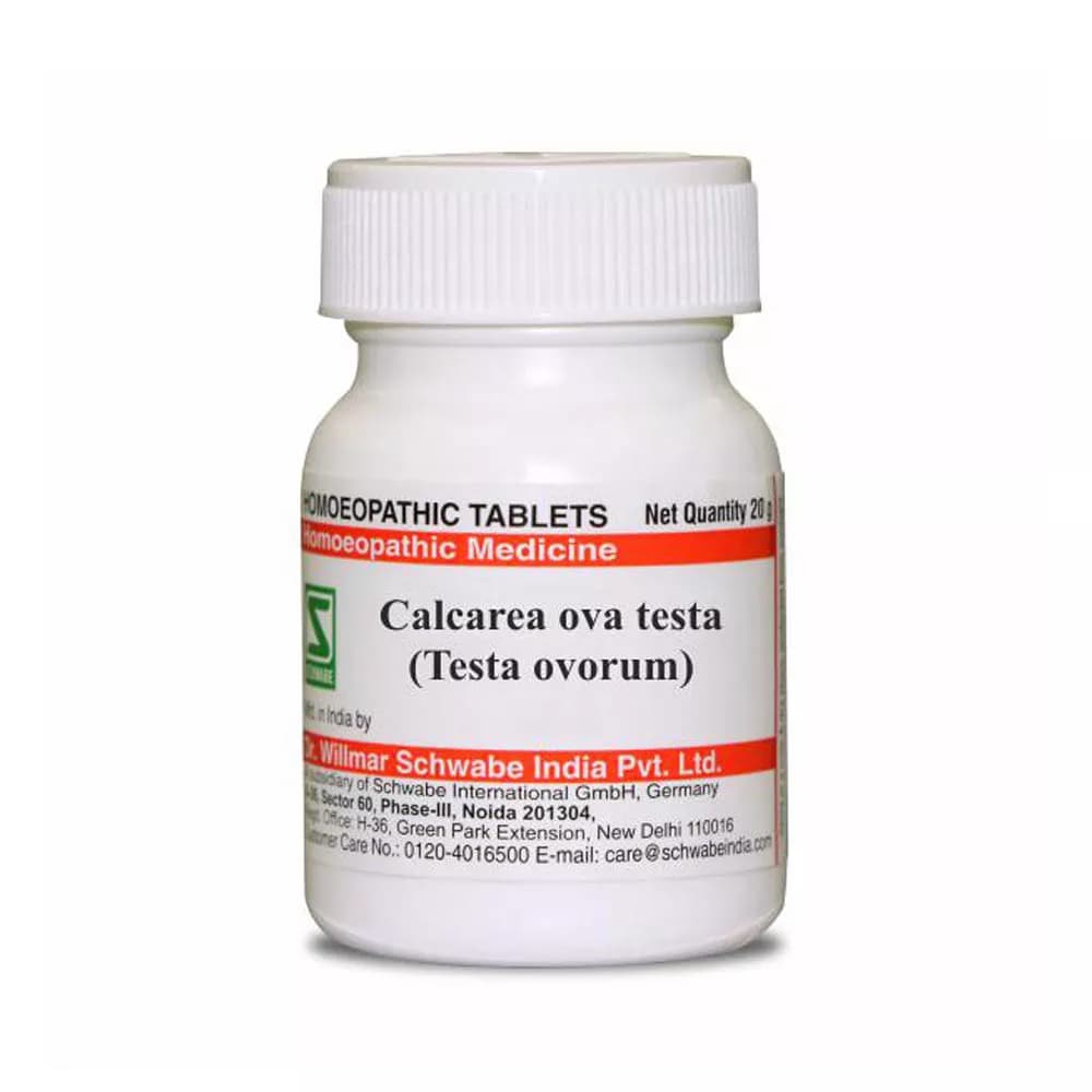 Dr. Willmar Schwabe Calcarea ova testa (Testa ovorum) Tablet 20 g 3X Main Image