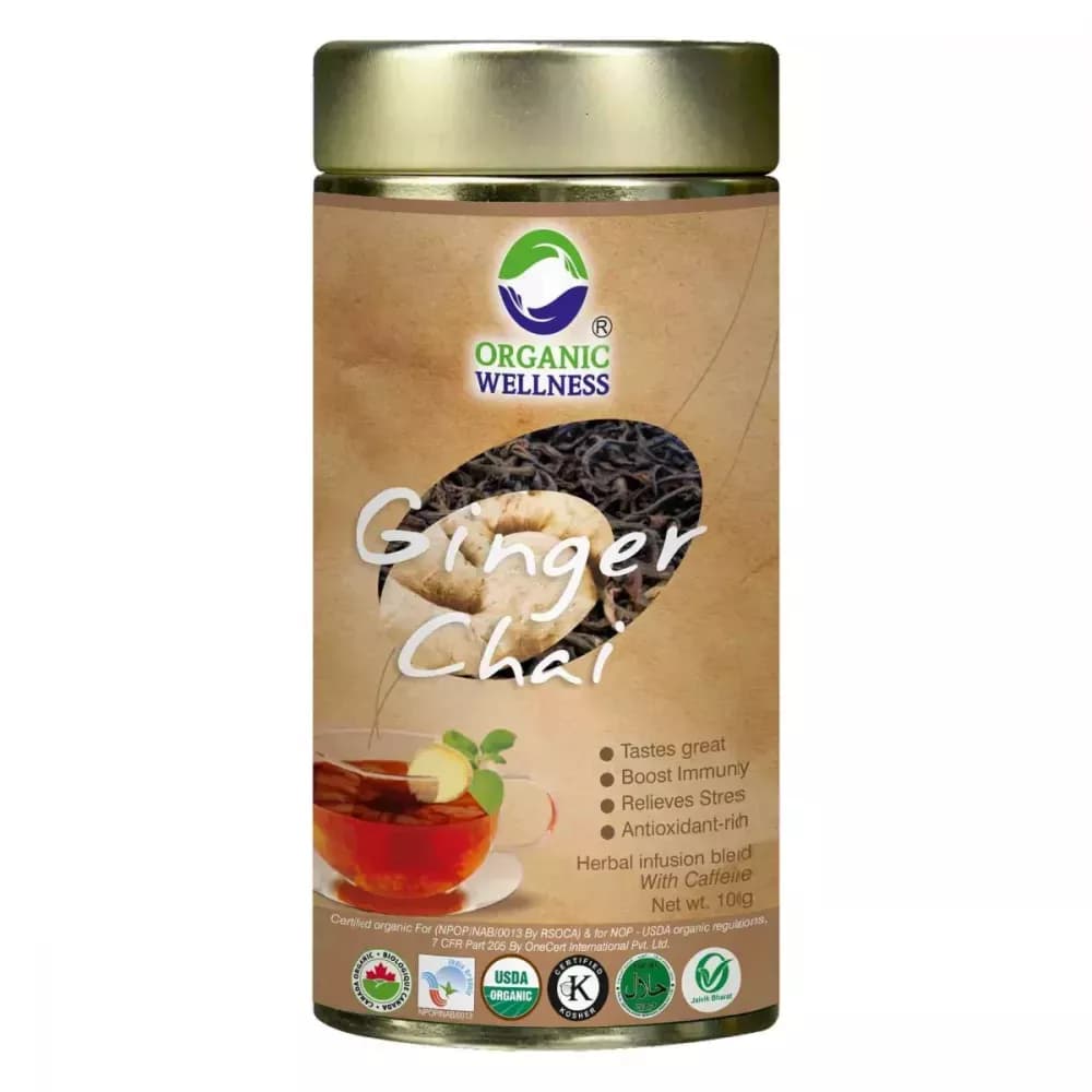 Organic Wellness Ginger Chai Tea 100 g Powder Main Iimage